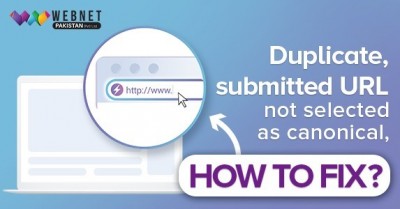 How to Fix Duplicate, Submitted URL Not Selected as Canonical